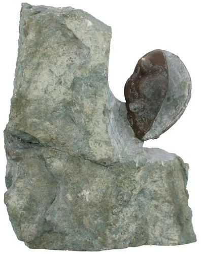 Ordovizium standstück mit - ,